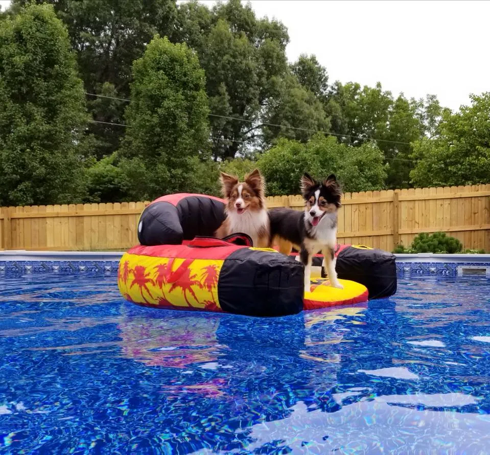 Evening Star pool liner installation photo